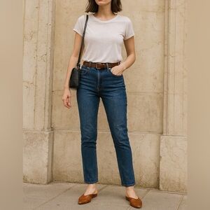 Madewell 10" High-Rise Skinny Jeans | Tarren Wash | Size 26